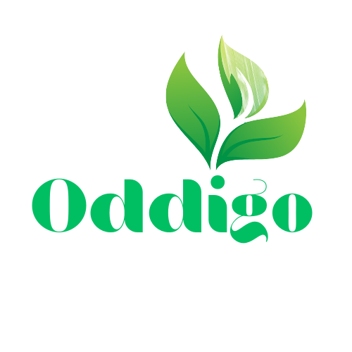 Oddigo